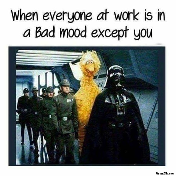 LIVE SHOW- Items 1-100 - Picture 1 of 2